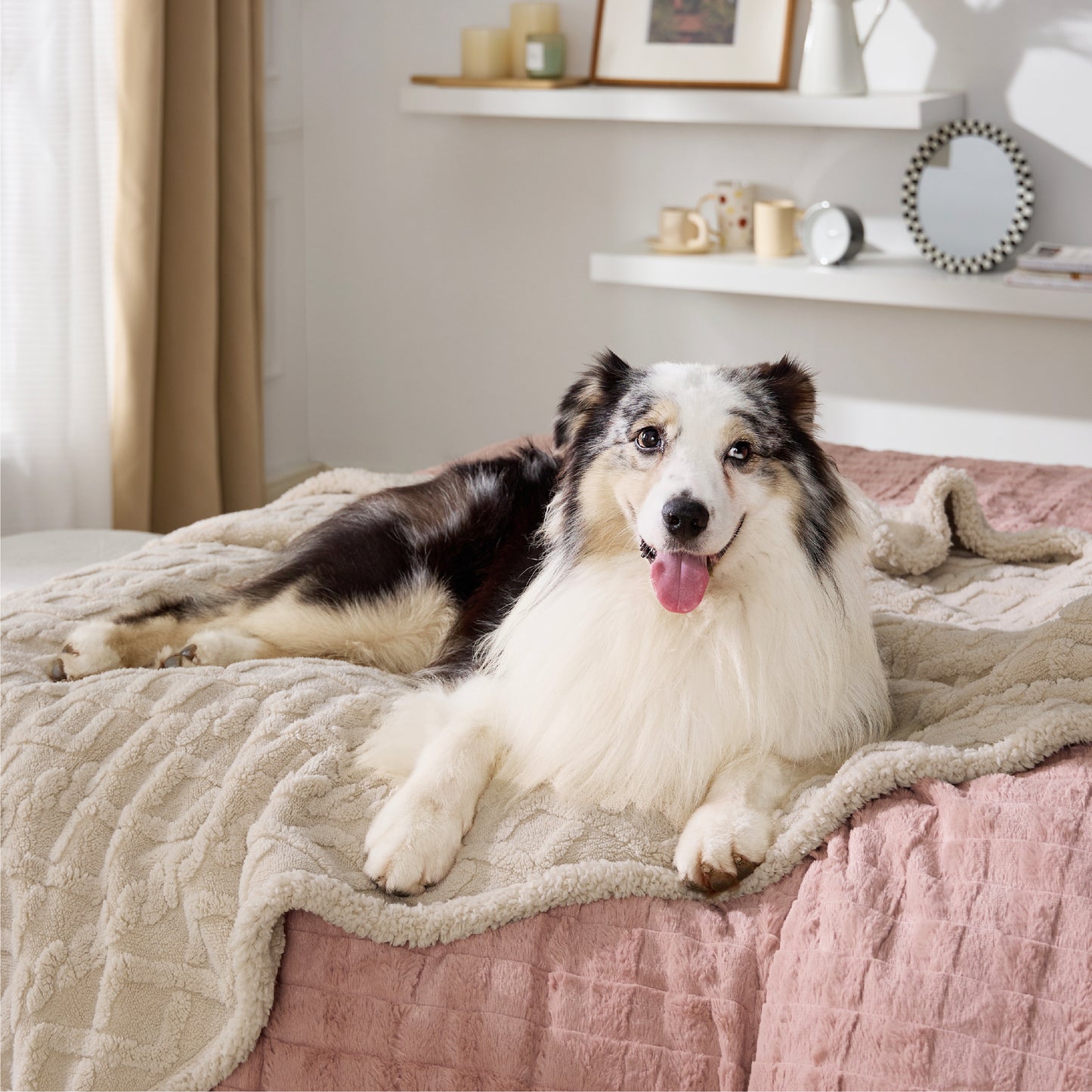 Waterproof Dog Blanket