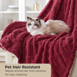 Bedsure Sherpa Throw Blanket For Couch