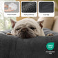 Fluffy Dog Mat
