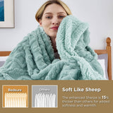 Bedsure Sherpa Throw Blanket For Couch