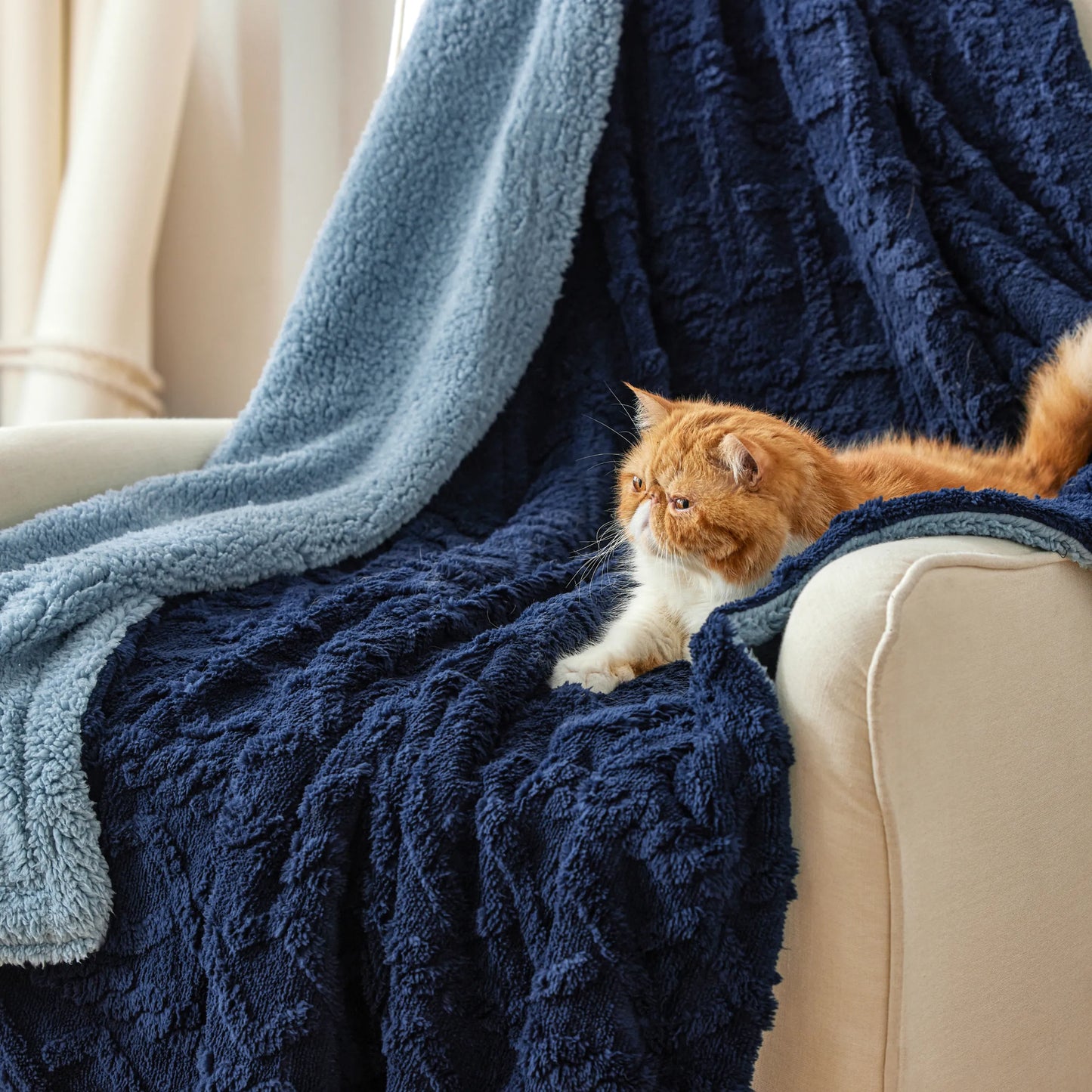 Sherpa Throw Blanket For Couch