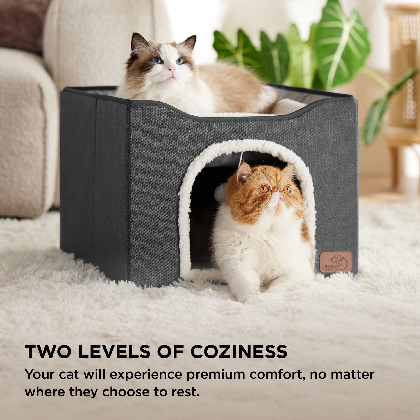 Cat Beds for Indoor Pet Cat House