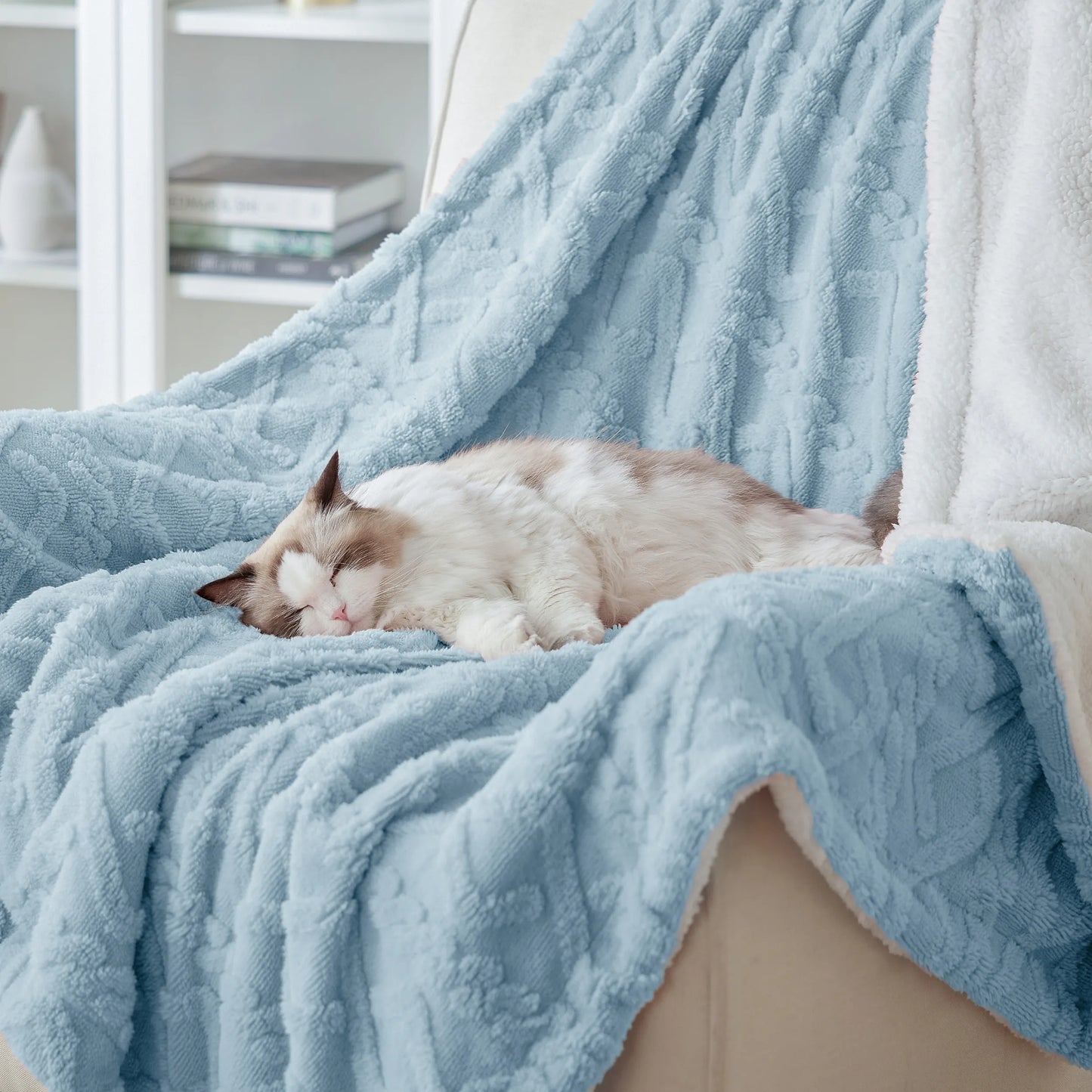 Sherpa Throw Blanket For Couch