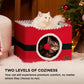 Cat Beds for Indoor Pet Cat House