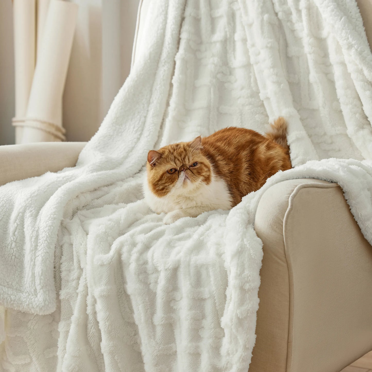 Sherpa Throw Blanket For Couch