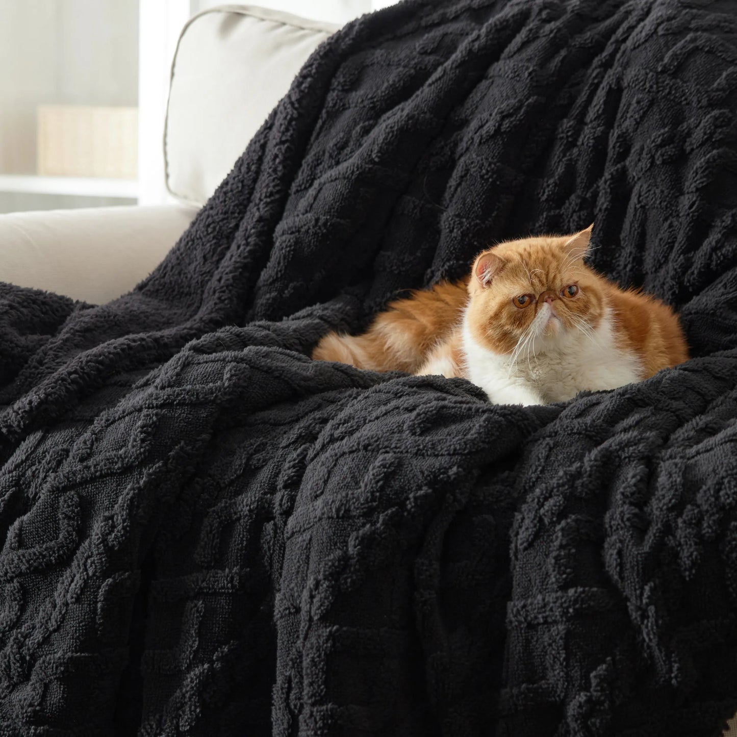 Sherpa Throw Blanket For Couch