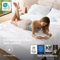 Stay Put Sheet Set