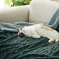 Sherpa Throw Blanket For Couch