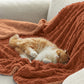 Sherpa Throw Blanket For Couch