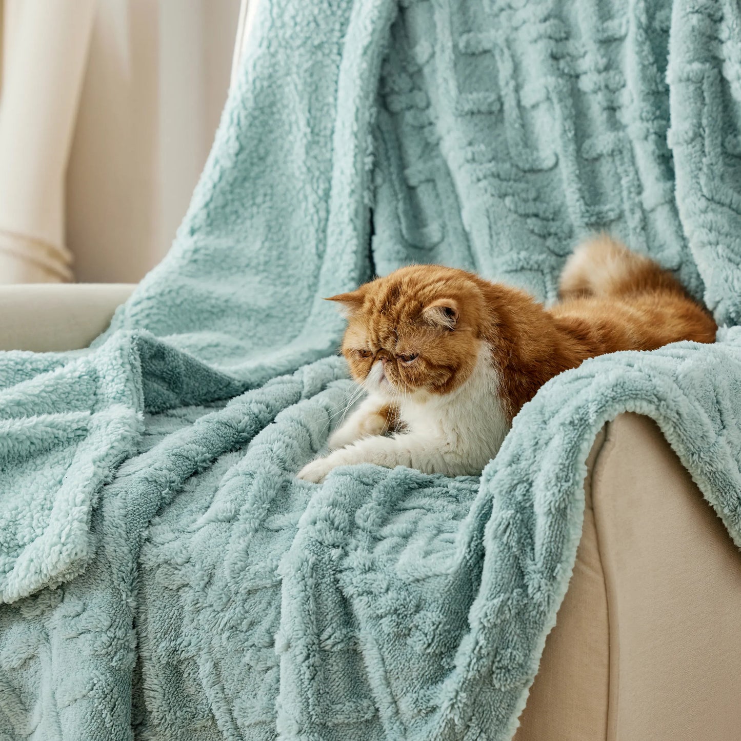 Sherpa Throw Blanket For Couch