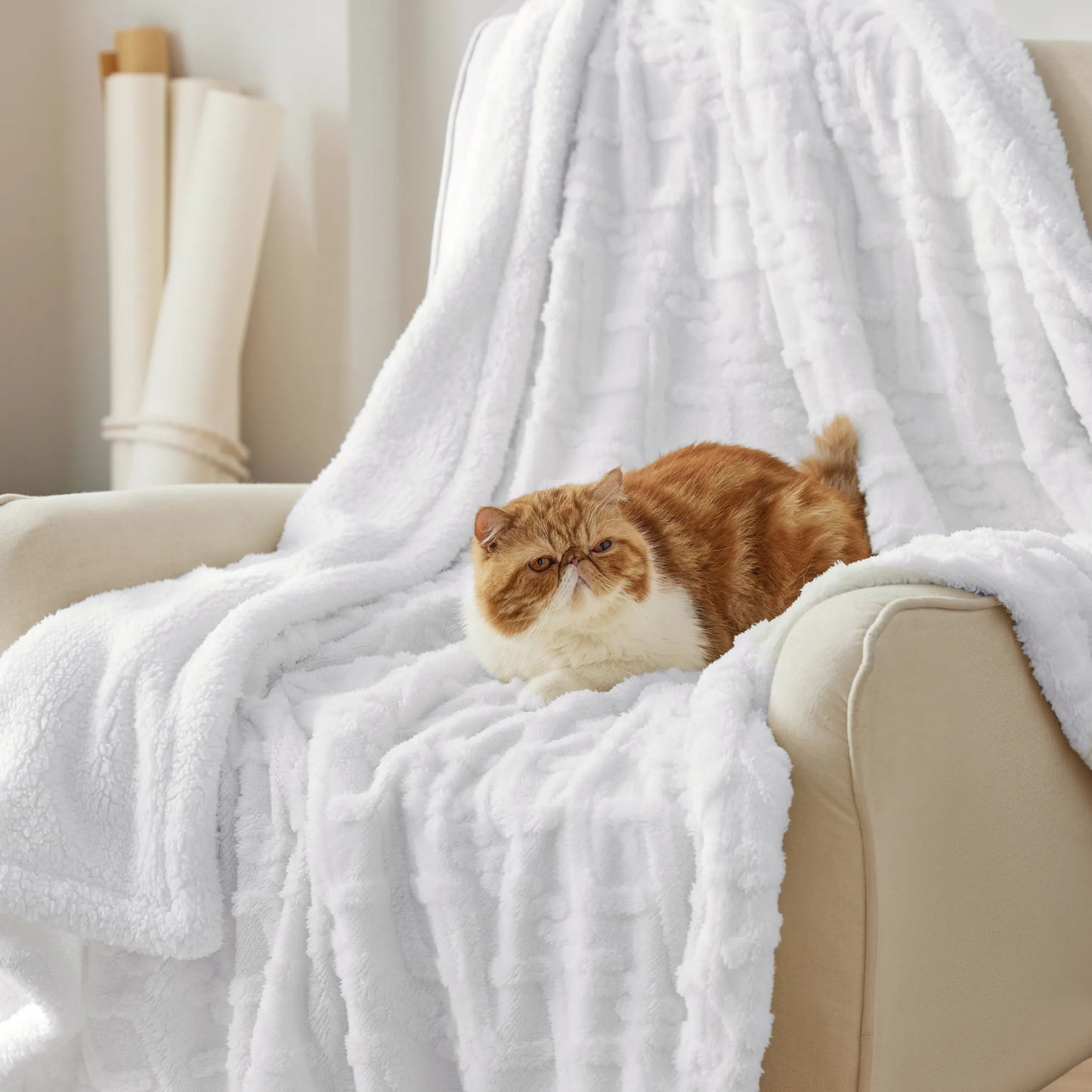 Sherpa Throw Blanket For Couch