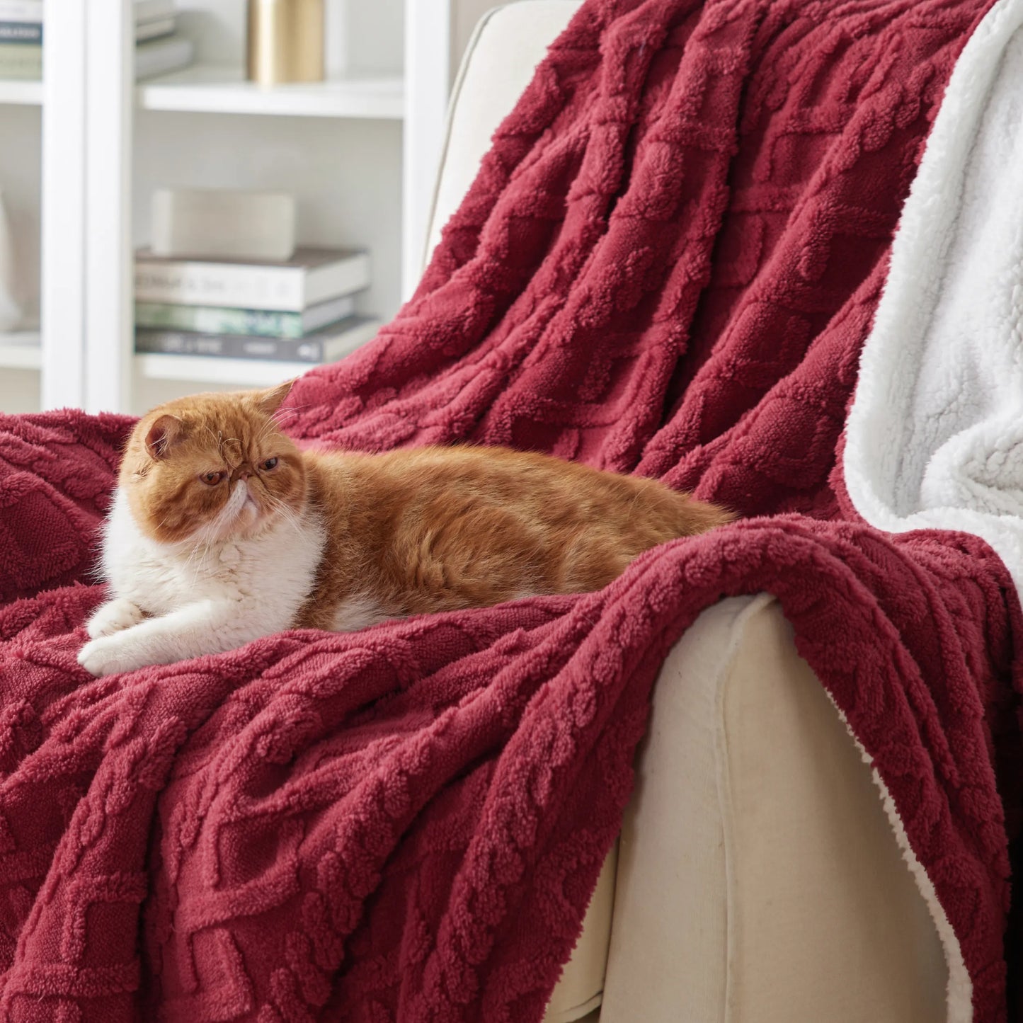 Sherpa Throw Blanket For Couch