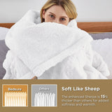 Bedsure Sherpa Throw Blanket For Couch