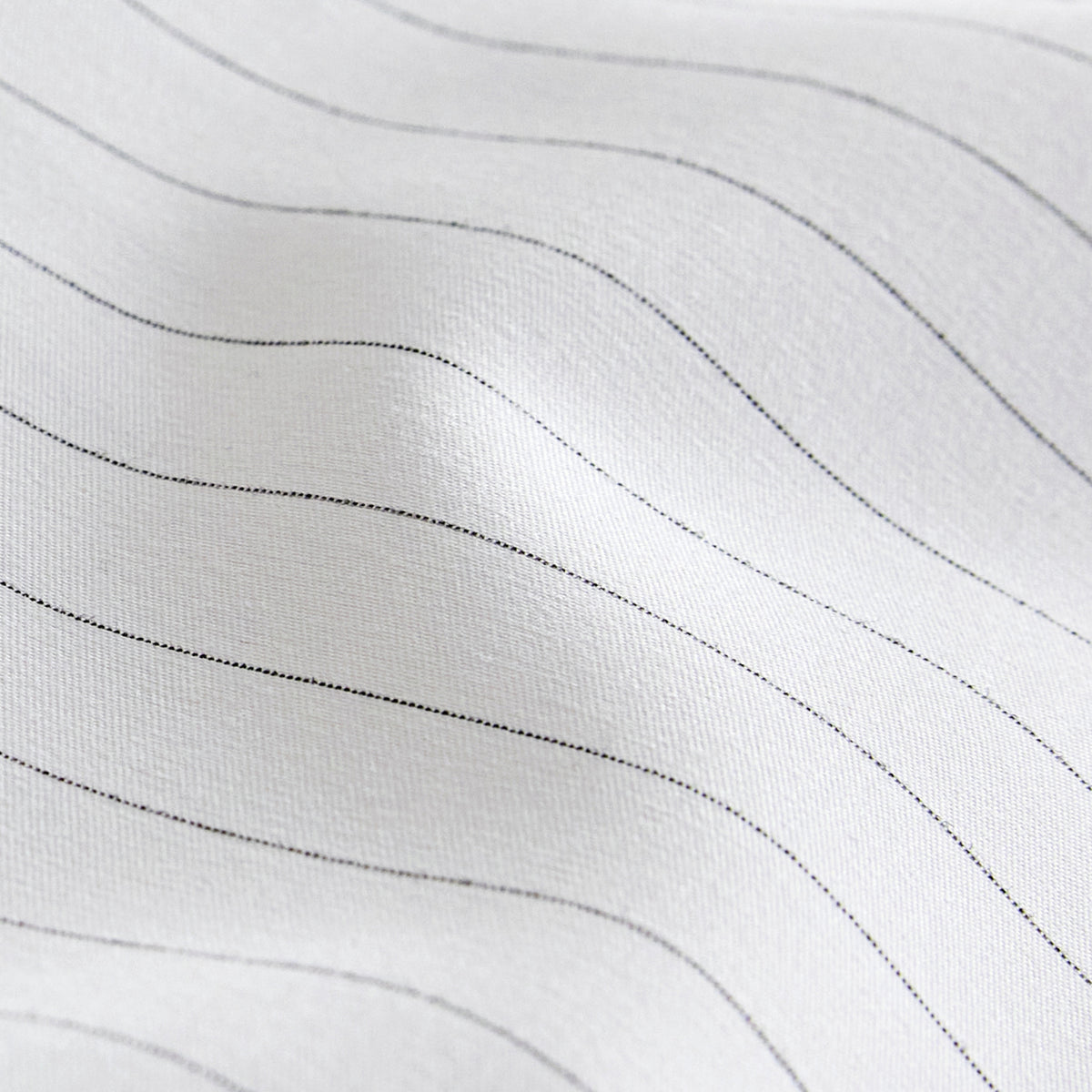 Paws Welcome Shared Comfort Sheet Set