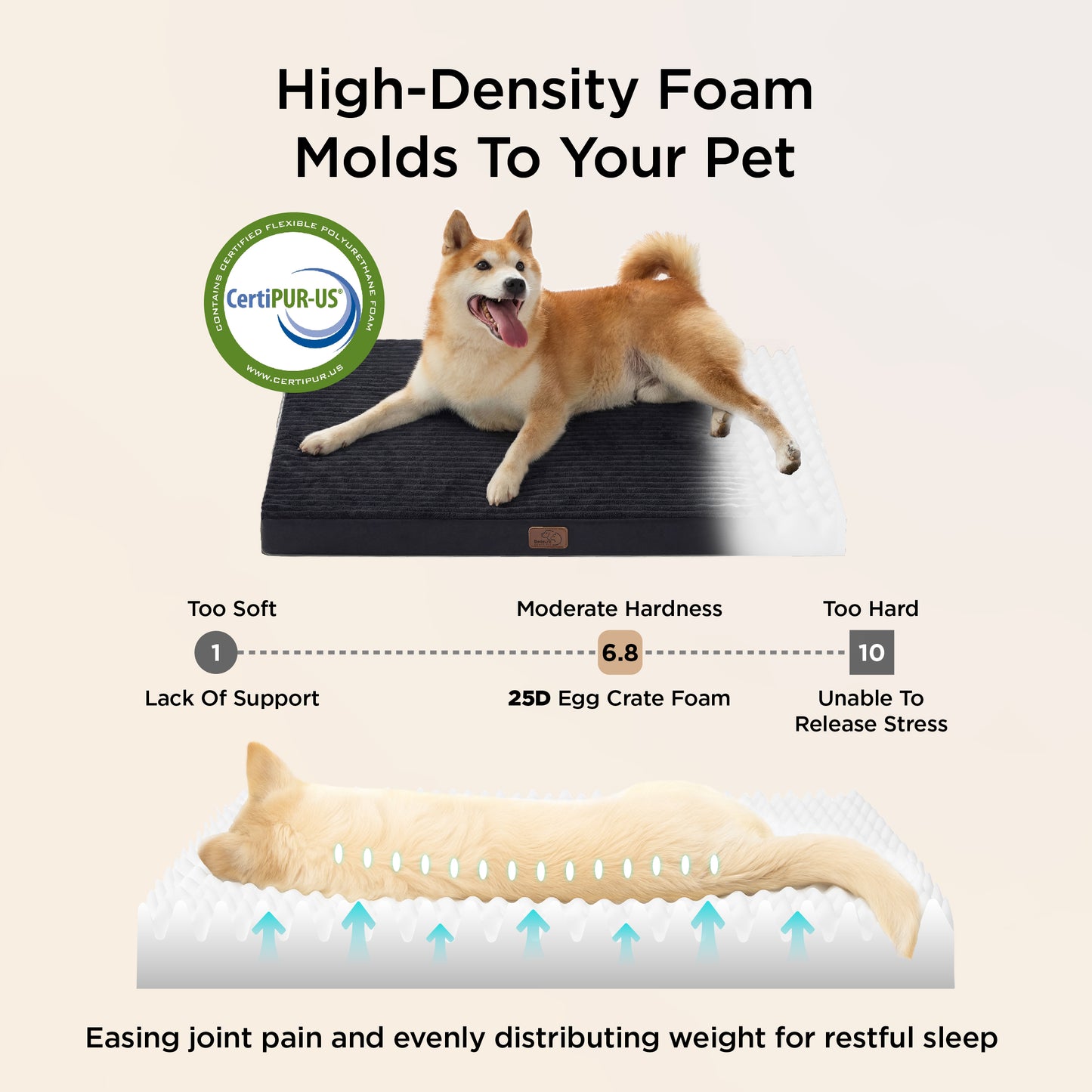 Orthopedic Dog Bed