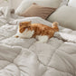 Prewashed Quilted Comforter