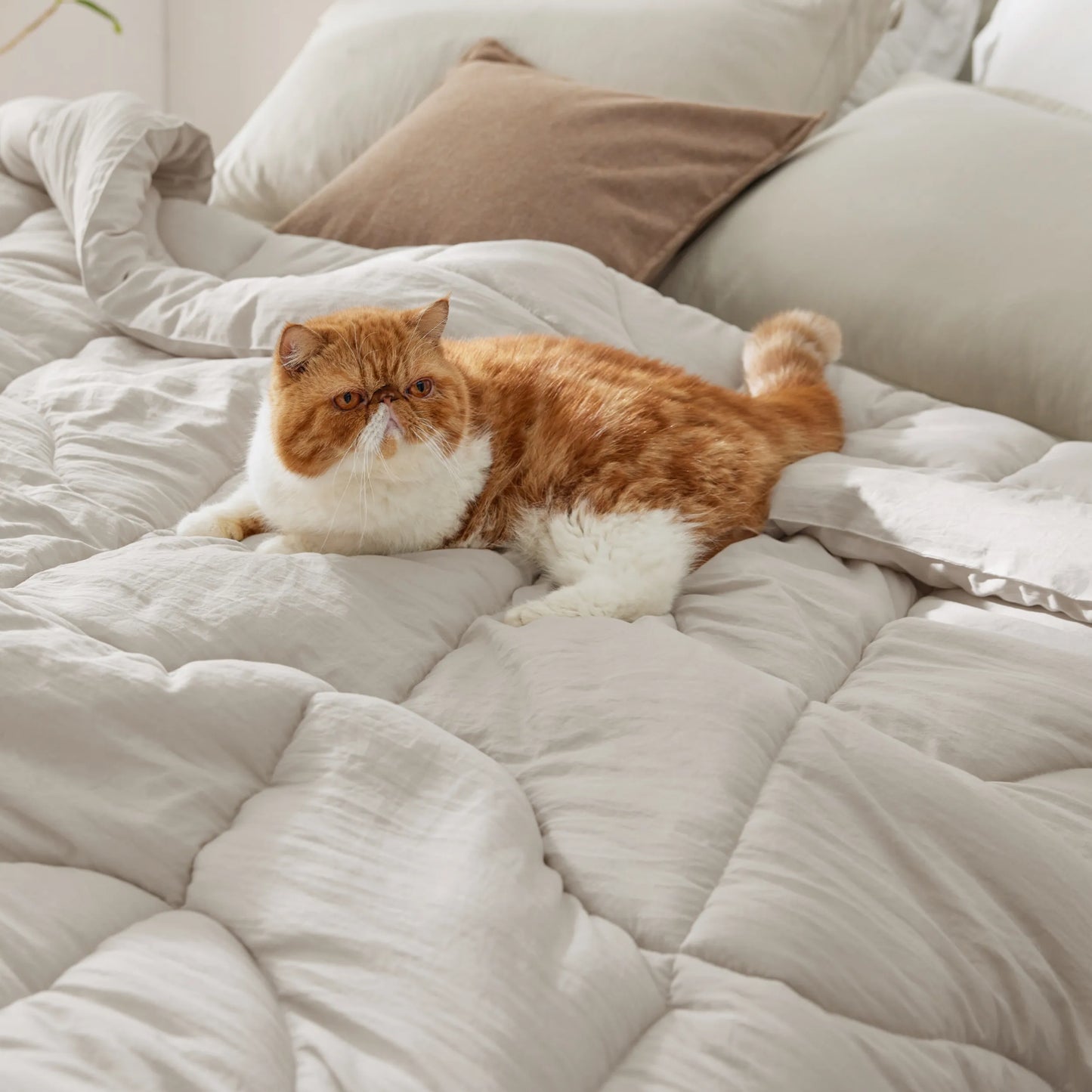 Prewashed Quilted Comforter