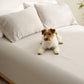 PureWoven™ Organically Grown Bamboo Viscose Fitted Sheet Set
