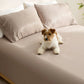 PureWoven™ Organically Grown Bamboo Viscose Fitted Sheet Set