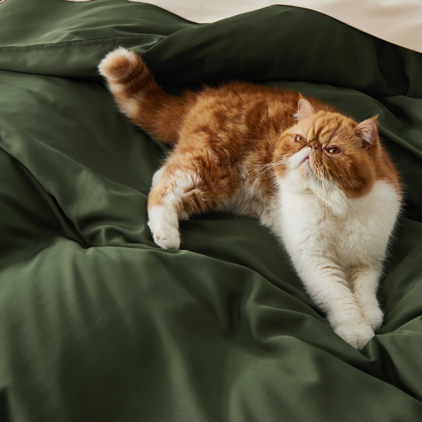 PureWoven™ Rayon Derived from Bamboo Duvet Cover Set