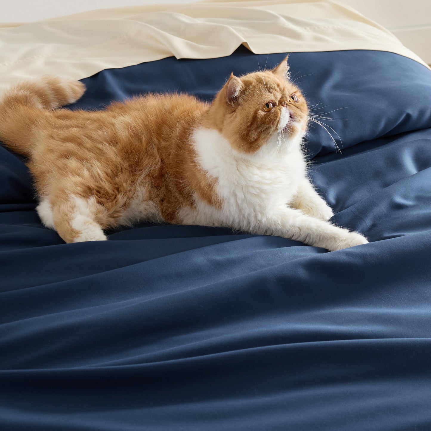 PureWoven™ Rayon Derived from Bamboo Duvet Cover Set