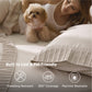 Stay Put Sheet Set