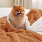 Sherpa Fleece Blanket