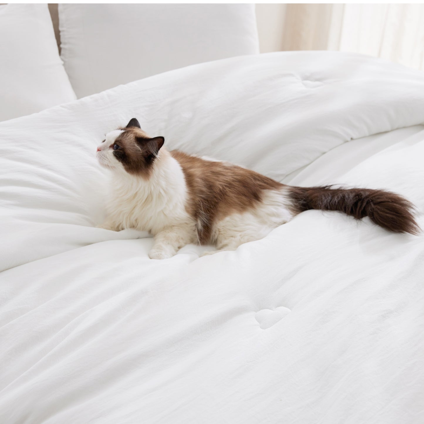 GentleSoft® Textured Quilted Comforter Set