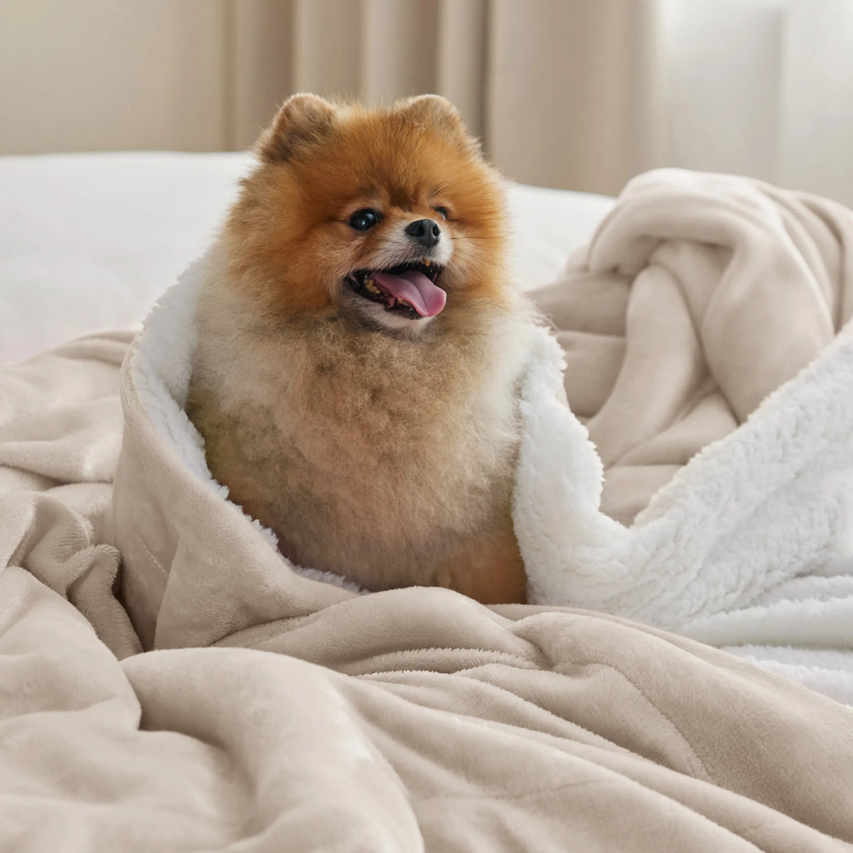 Sherpa Fleece Blanket