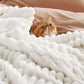 Organic Cotton Modern Cozy Bundle