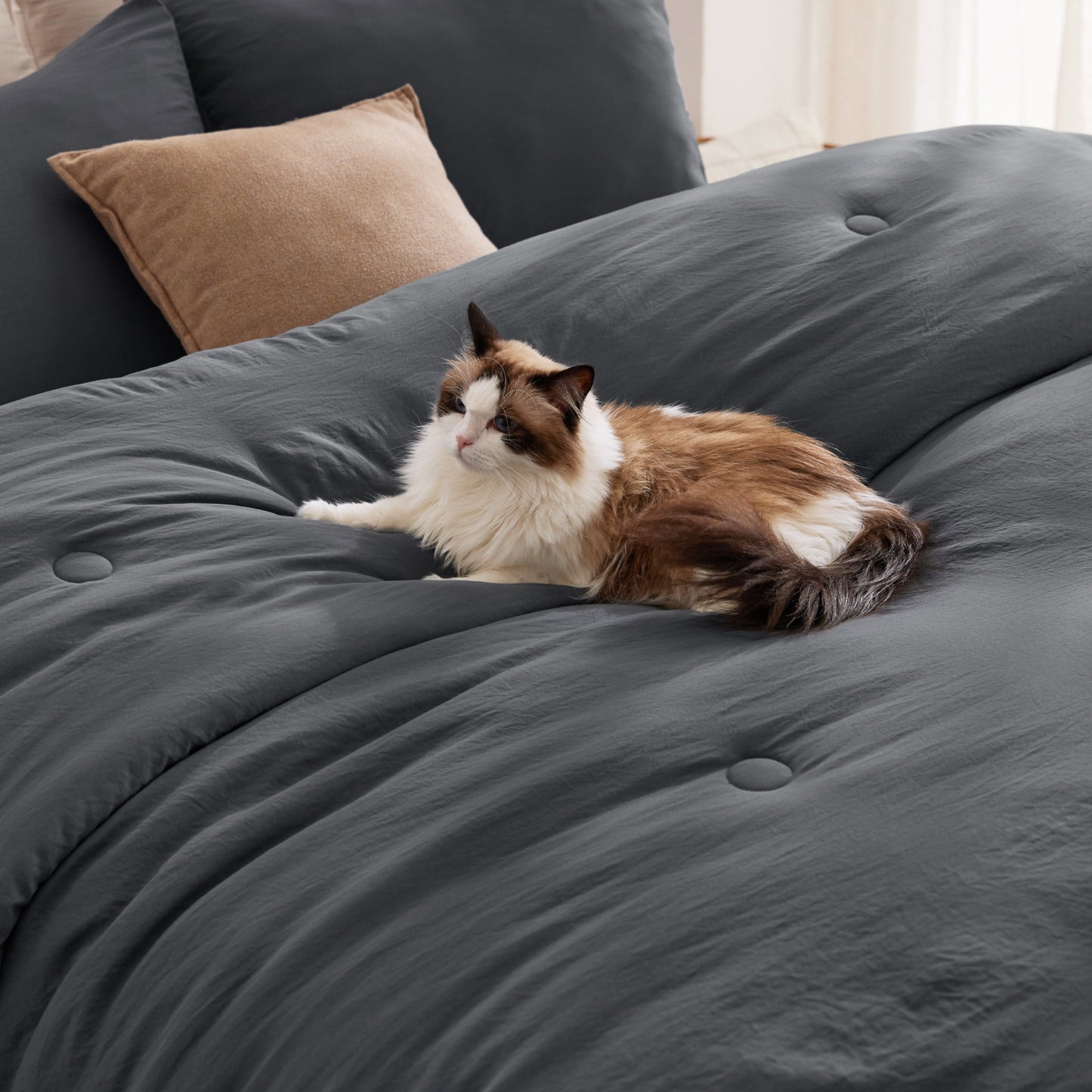 GentleSoft® Textured Quilted Comforter Set