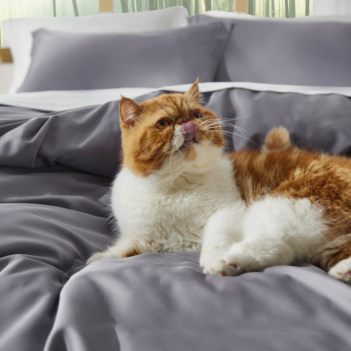 PureWoven™ Rayon Derived from Bamboo Duvet Cover Set