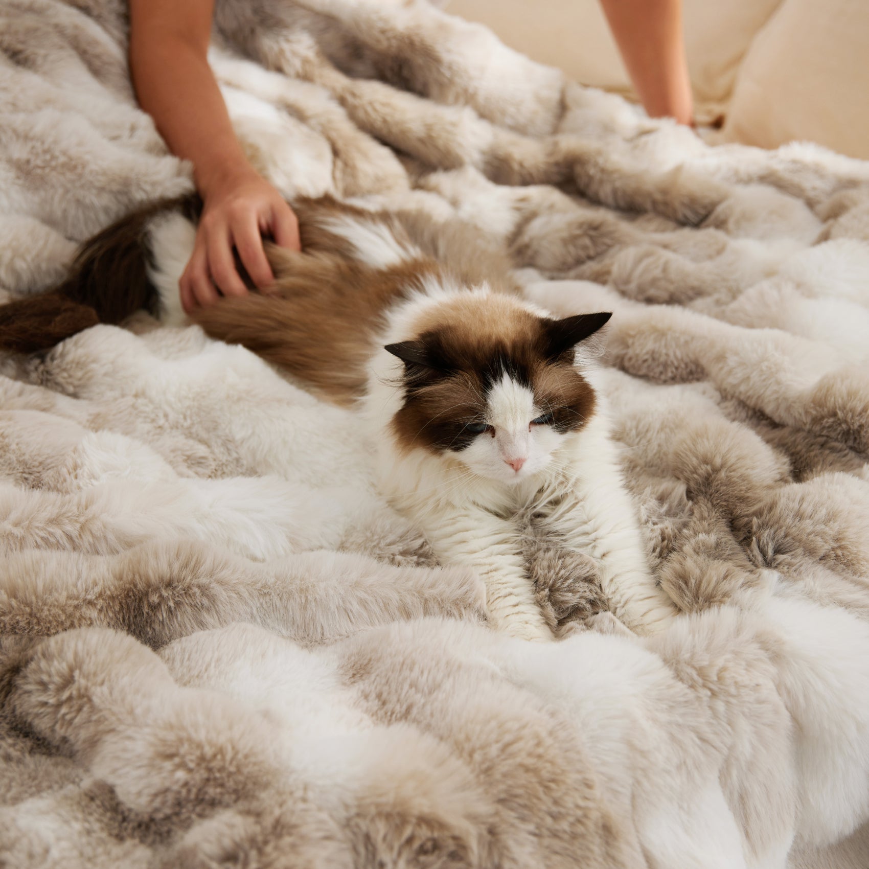 PureWoven Serene Blend plush luxe blanket with cat in cream and tan