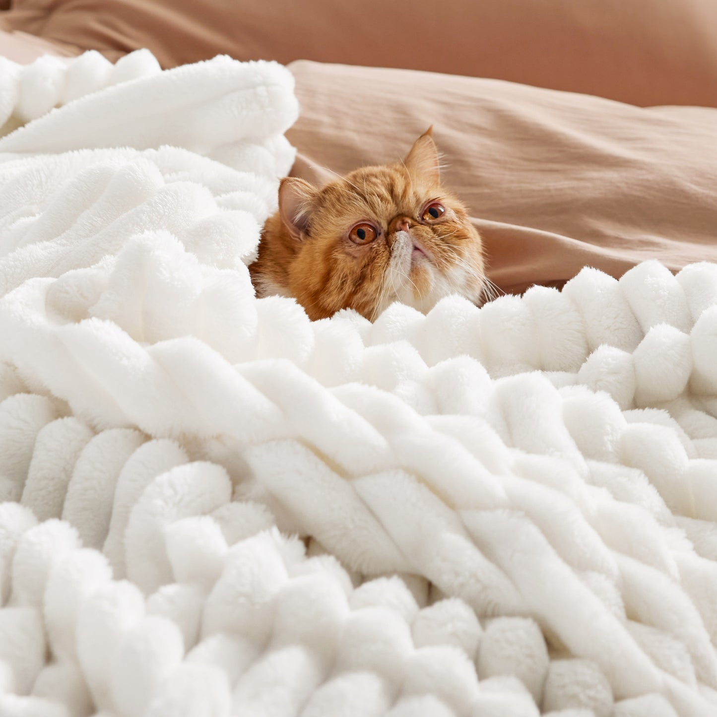 GentleSoft® Organic Cotton Modern Cozy Bundle