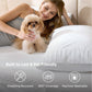 Stay Put Sheet Set