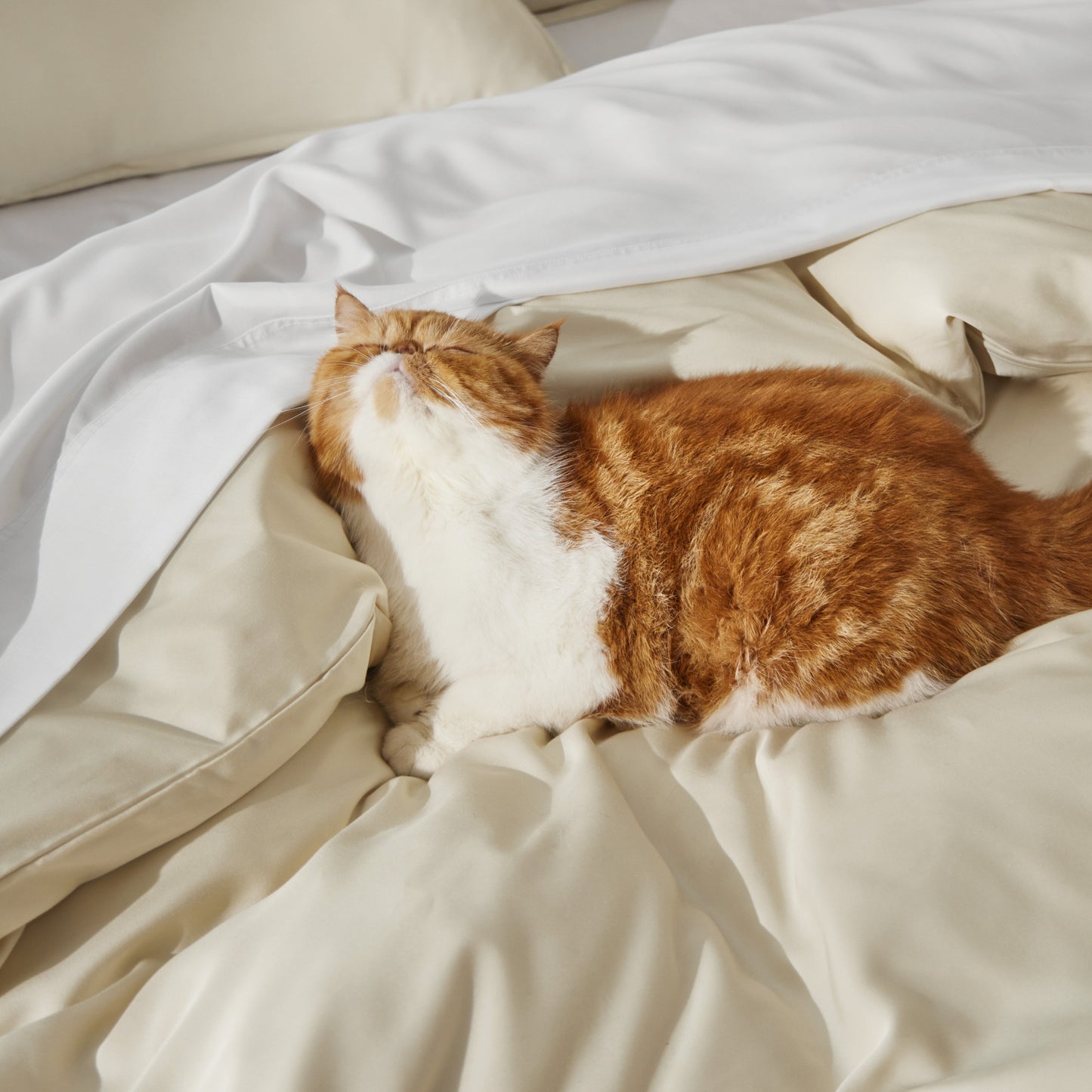 PureWoven™ Rayon Derived from Bamboo Duvet Cover Set