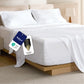 Stay Put Sheet Set
