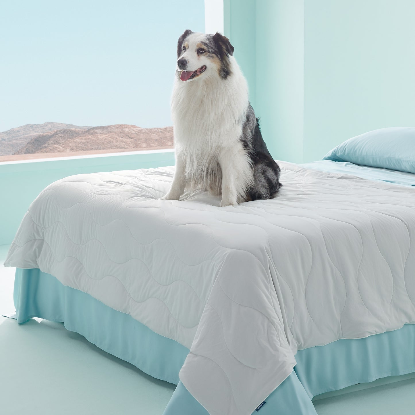 Textured Pet Cooling Blanket