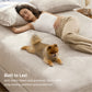 220 GSM Anti-Static Flannel Sheet Set
