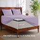 GentleSoft™ Moisture-Wicking Sheet Set