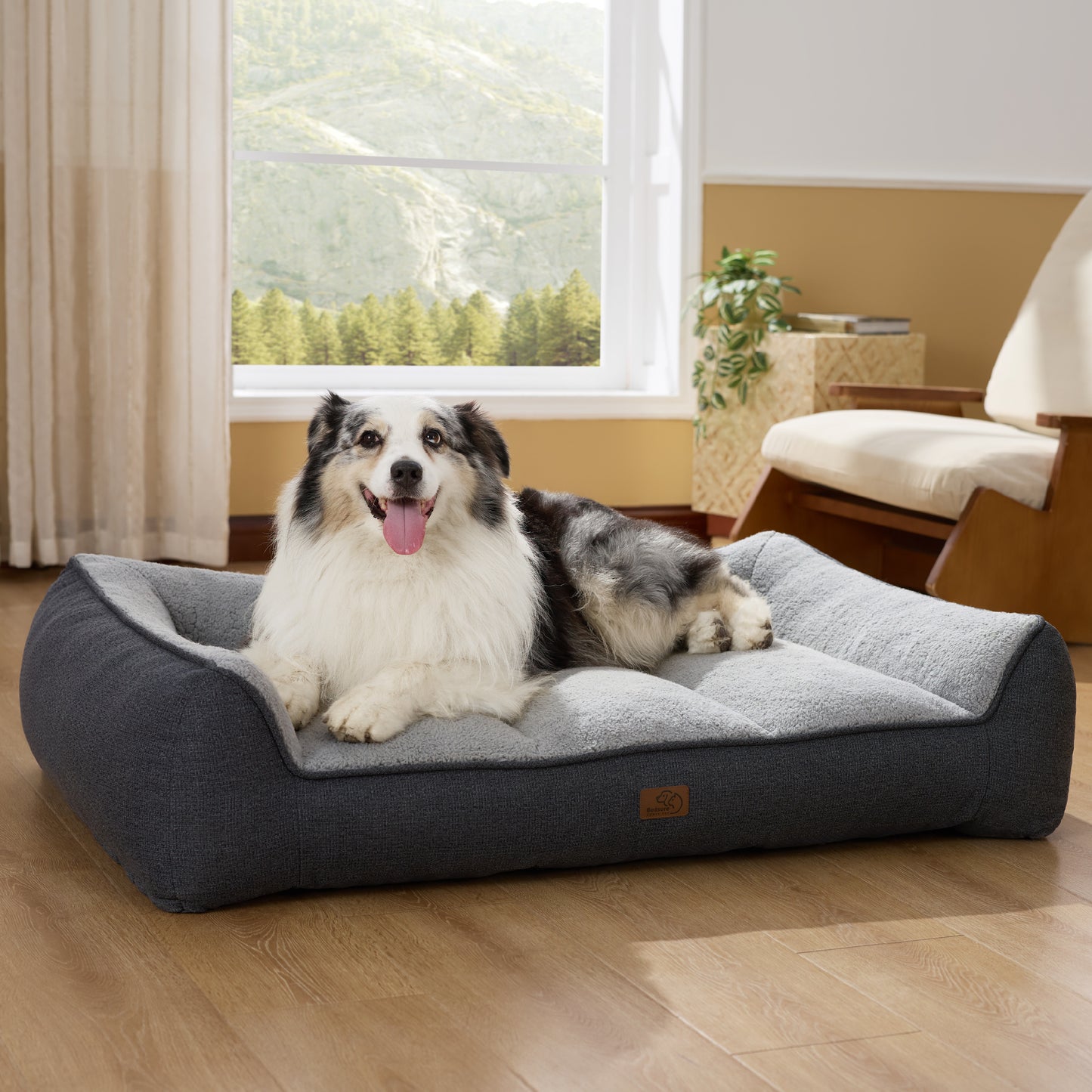 Supportive Dog Couch