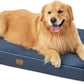 Orthopedic Memory Foam Dog Bed