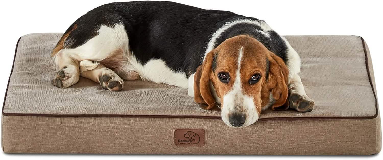 Plush Dog Bed