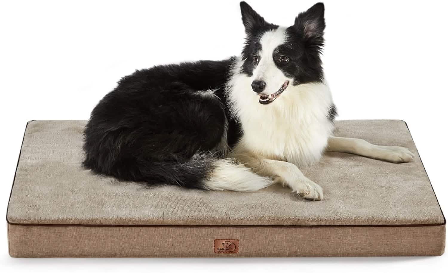 Plush Dog Bed