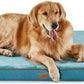 Orthopedic Memory Foam Dog Bed