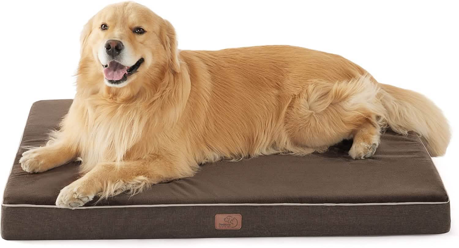 Plush Dog Bed