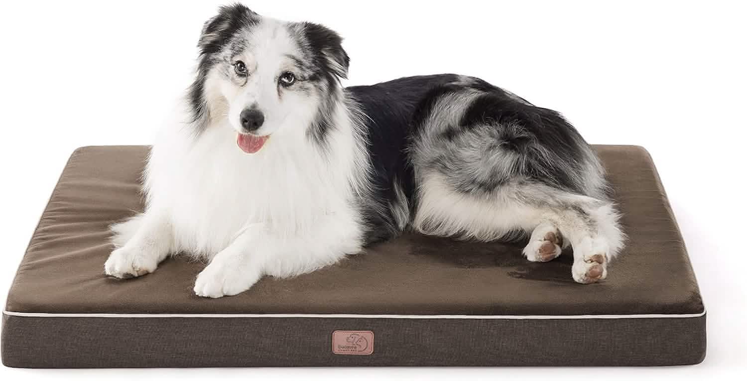 Plush Dog Bed