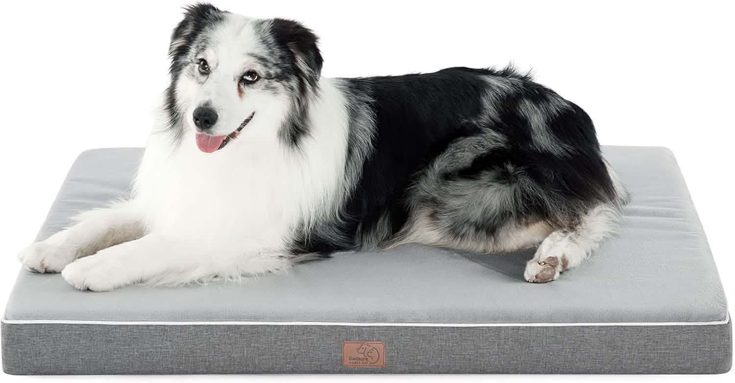 Plush Dog Bed