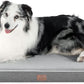 Orthopedic Memory Foam Dog Bed