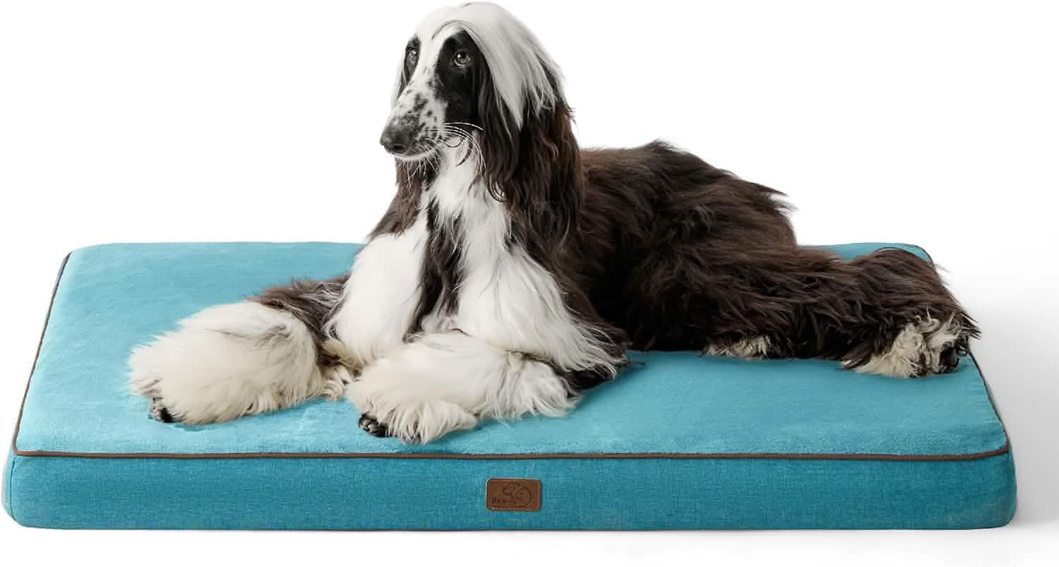 Plush Dog Bed